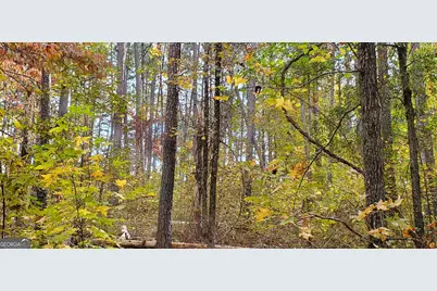 2320 Club Drive, Greensboro, GA 30642 - Photo 7
