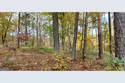 2320 Club Drive, Greensboro, GA 30642 - Photo 9