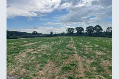 12684 Highway 59, Carnesville, GA 30521 - Photo 31