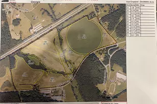 12684 Hwy 59, Carnesville, GA 30521 - Photo 1