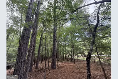 2250 W Highway 220, Lincolnton, GA 30817 - Photo 11