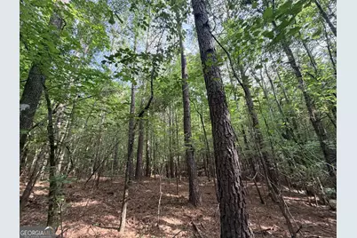 2250 W Highway 220, Lincolnton, GA 30817 - Photo 35