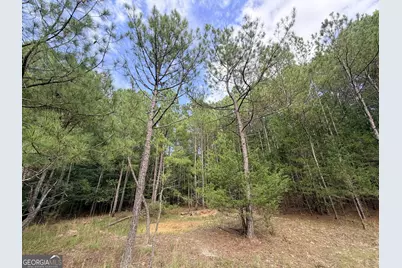 2250 W Highway 220, Lincolnton, GA 30817 - Photo 27