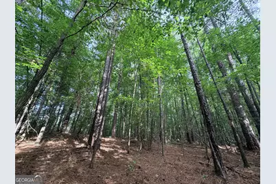 2250 W Highway 220, Lincolnton, GA 30817 - Photo 13