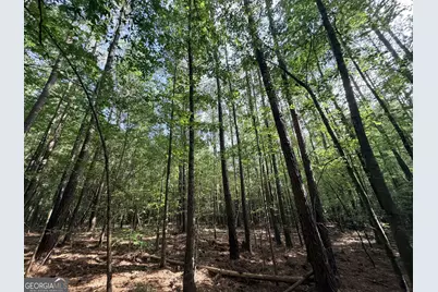 2250 W Highway 220, Lincolnton, GA 30817 - Photo 37