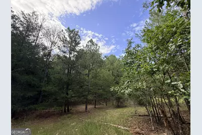 2250 W Highway 220, Lincolnton, GA 30817 - Photo 25