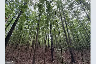 2250 W Highway 220, Lincolnton, GA 30817 - Photo 21