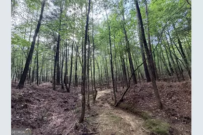 2250 W Highway 220, Lincolnton, GA 30817 - Photo 33