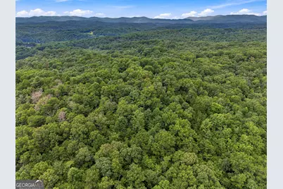 Lot 58 Red Bud Lane, Ellijay, GA 30540 - Photo 9