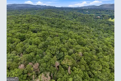 Lot 58 Red Bud Lane, Ellijay, GA 30540 - Photo 7