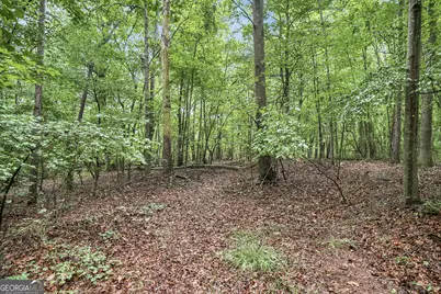 Lot 58 Red Bud Lane, Ellijay, GA 30540 - Photo 5