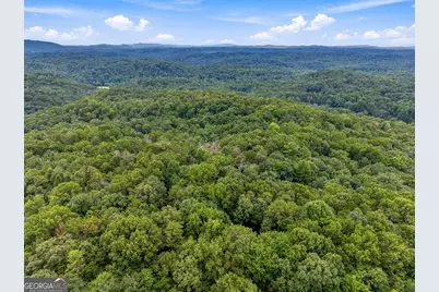 Lot 58 Red Bud Lane, Ellijay, GA 30540 - Photo 15