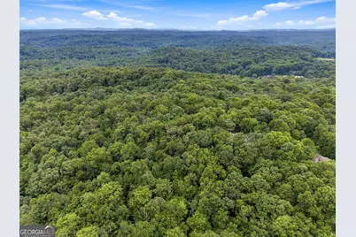 Lot 58 Red Bud Lane, Ellijay, GA 30540 - Photo 11