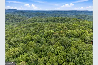Lot 58 Red Bud Lane, Ellijay, GA 30540 - Photo 13