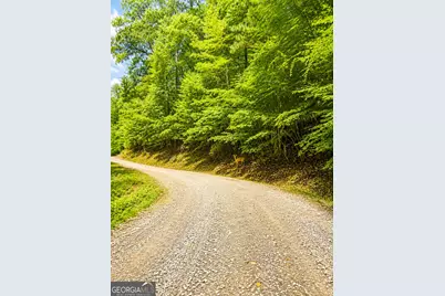 Lt1249 Fugue Drive, Ellijay, GA 30540 - Photo 11
