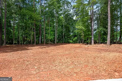 174 Rockhouse Road, Senoia, GA 30276 - Photo 41