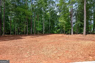 174 Rock House Rd, Senoia, GA 30276 - Photo 41
