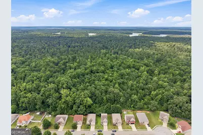 2024 S Sawgrass Drive E, Hampton, GA 30228 - Photo 41