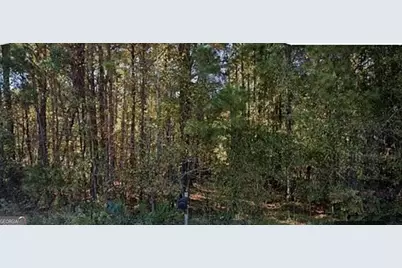 3075 Hamlin Road, Lizella, GA 31052 - Photo 1