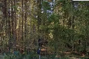 3075 Hamlin Rd, Lizella, GA 31052 - Photo 1