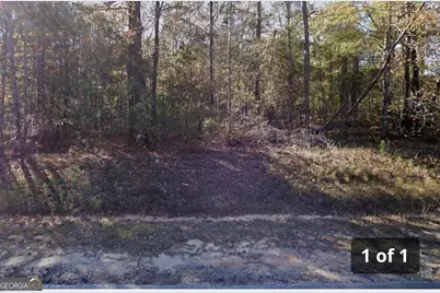 3063 Hamlin Road, Lizella, GA 31052 - Photo 1