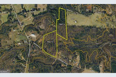 0 Christmas Tree Road, Homer, GA 30547 - Photo 43
