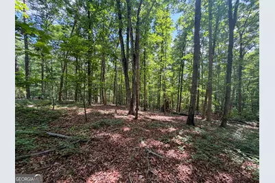 0 Christmas Tree Road, Homer, GA 30547 - Photo 23