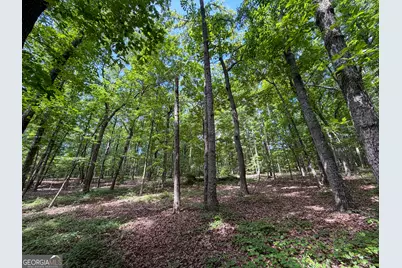 0 Christmas Tree Road, Homer, GA 30547 - Photo 37