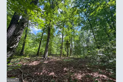 0 Christmas Tree Road, Homer, GA 30547 - Photo 21