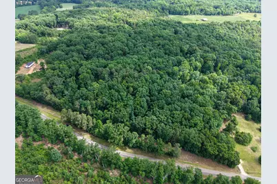 Tract 5 Christmas Tree Road, Homer, GA 30547 - Photo 3