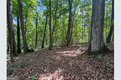 Tract 5 Christmas Tree Road, Homer, GA 30547 - Photo 19