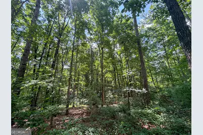 Tract 5 Christmas Tree Road, Homer, GA 30547 - Photo 13