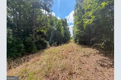 Tract 5 Christmas Tree Road, Homer, GA 30547 - Photo 11