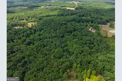 Tract 5 Christmas Tree Road, Homer, GA 30547 - Photo 7