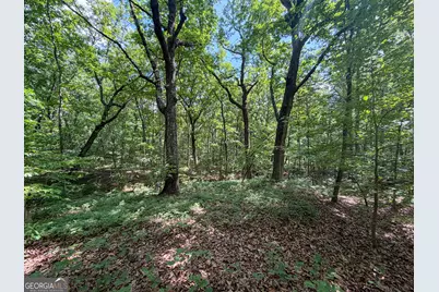 Tract 5 Christmas Tree Road, Homer, GA 30547 - Photo 21