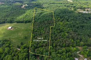 0 Murray Rd, Homer, GA 30547 - Photo 1