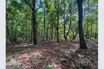 0 Murray Road, Homer, GA 30547 - Photo 17