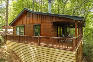 252 Granny Branch Drive, Blue Ridge, GA 30513 - Photo 21