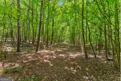 0 Freedom Lane #18C, Commerce, GA 30530 - Photo 13