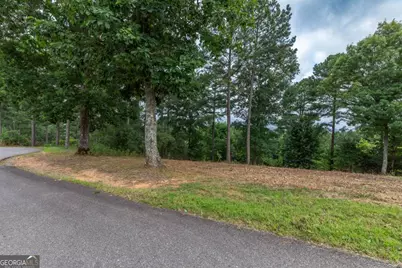 Lot 13 Thirteen Hundred, Blairsville, GA 30512 - Photo 3