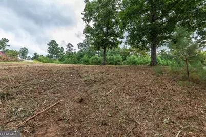 Lot 13 Thirteen Hundred, Blairsville, GA 30512 - Photo 5