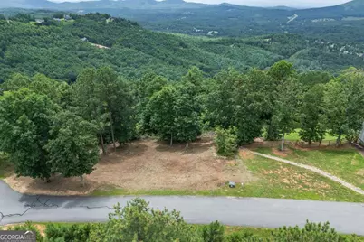 Lot 13 Thirteen Hundred, Blairsville, GA 30512 - Photo 7