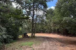17 Blackberry Creek Dr, Carrollton, GA 30116 - Photo 3