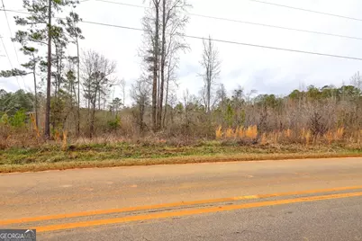 Lot 5 Cochran Road, Madison, GA 30650 - Photo 15