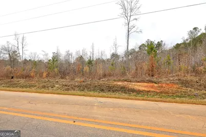 Lot 5 Cochran Road, Madison, GA 30650 - Photo 13