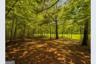 7E Lake Nottely Drive #7E, Blairsville, GA 30512 - Photo 5
