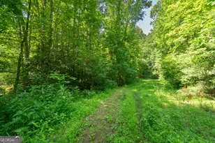 440 Joe Franklin Rd, Sautee Nacoochee, GA 30571 - Photo 43