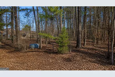 1141 Brannon Drive, Greensboro, GA 30642 - Photo 3