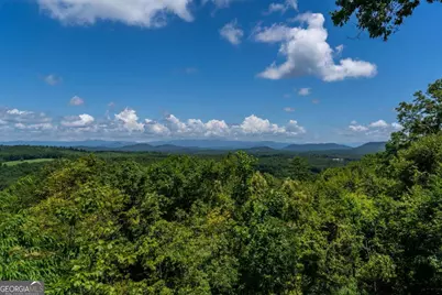 334 Hawks Claw Trail, Morganton, GA 30560 - Photo 61