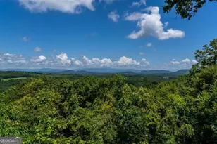 334 Hawksclaw Trl, Morganton, GA 30560 - Photo 61